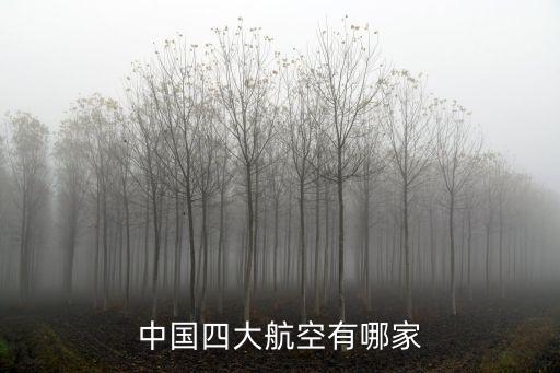 廣東有多少個(gè)航空公司,中國有幾大航空公司