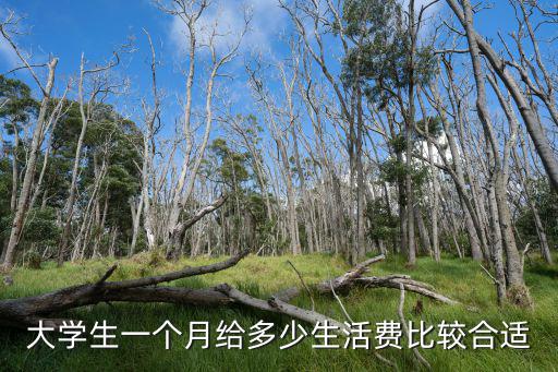 廣州一般生活費(fèi)家里給多少,老公給四千生活費(fèi)