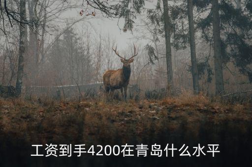 青島4000工資是多少,生活在青島月收入多少?zèng)]壓力