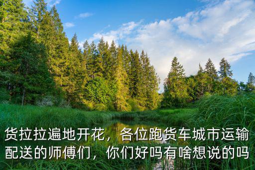 貨拉拉遍地開花，各位跑貨車城市運輸配送的師傅們，你們好嗎有啥想說的嗎