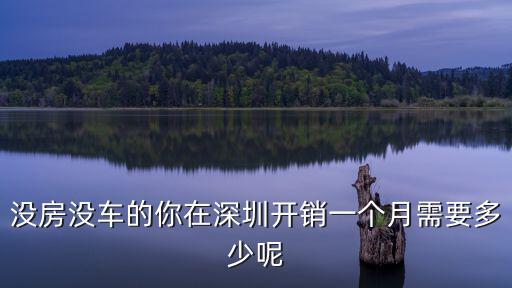 深圳一個人一個月開銷多少錢,在深圳一個人