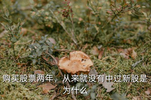 最近怎么深圳沒有新股發(fā)行,最近幾年發(fā)了這么多新股