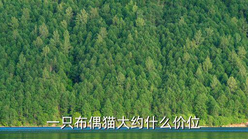 一只布偶貓大約什么價(jià)位