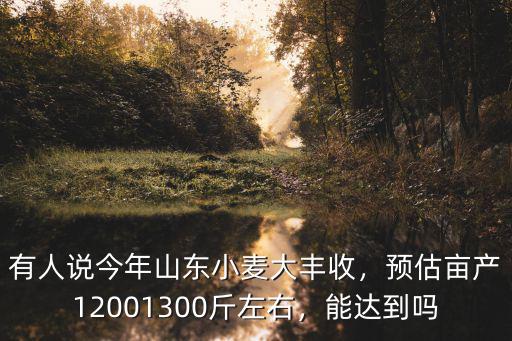 有人說今年山東小麥大豐收，預估畝產12001300斤左右，能達到嗎