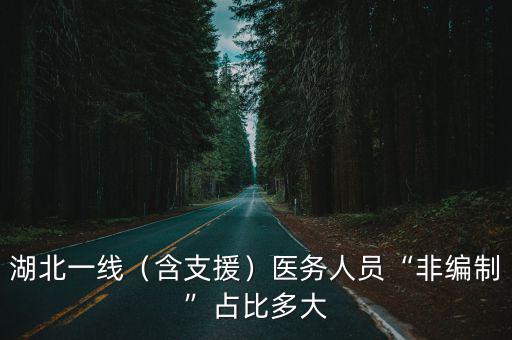 湖北一線（含支援）醫(yī)務(wù)人員“非編制”占比多大