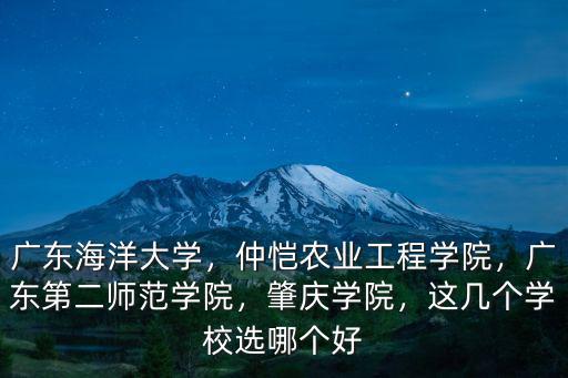 廣東海洋大學，仲愷農業工程學院，廣東第二師范學院，肇慶學院，這幾個學校選哪個好