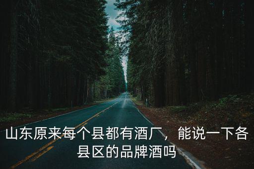 山東大型酒精廠有多少,山東原來每個縣都有酒廠