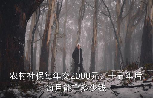 農村社保每年交2000元，十五年后每月能拿多少錢