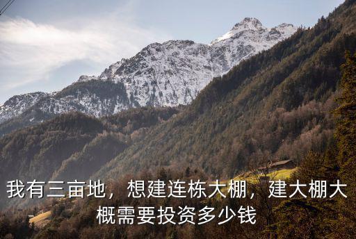 杭州連棟大棚骨架多少錢,想建連棟大棚