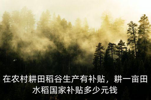 廣東省水稻補貼每畝補多少,在農村耕田稻谷生產有補貼