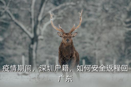 疫情期間，深圳戶籍，如何安全返程回廣東