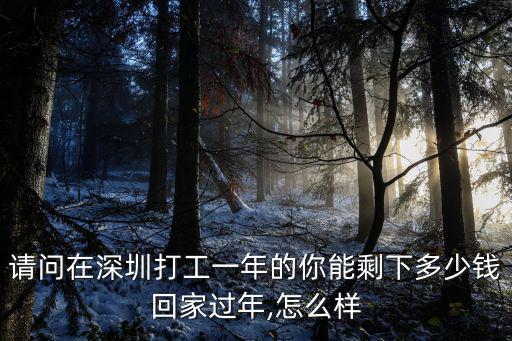 請(qǐng)問在深圳打工一年的你能剩下多少錢回家過年,怎么樣