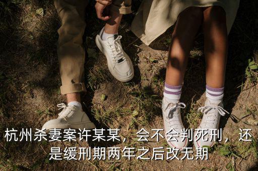 杭州許某某判多少年,杭州殺妻案許某某