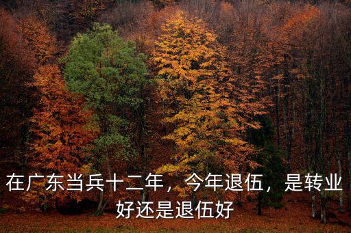 廣東當兵多少年可以轉(zhuǎn)業(yè),在廣東當兵十二年