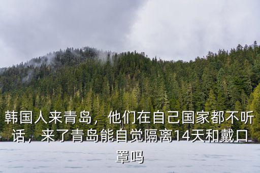 韓國人來青島躲避多少人,韓國人來青島