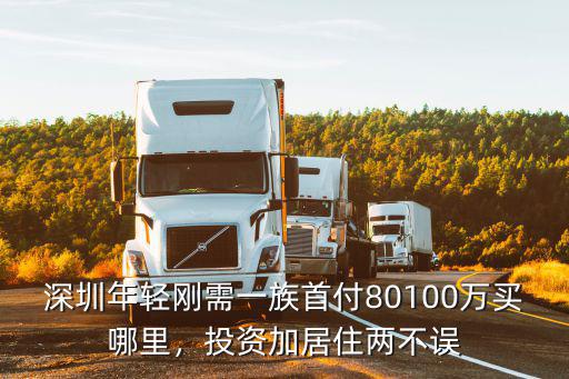 深圳首付80萬(wàn)買(mǎi)哪里,深圳年輕剛需一族首付80