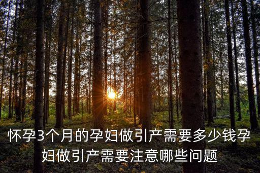 懷孕3個月的孕婦做引產需要多少錢孕婦做引產需要注意哪些問題