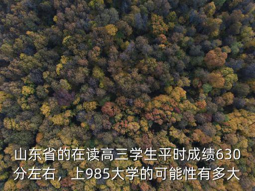 山東省的大學招多少學生,上985大學的可能性有多大