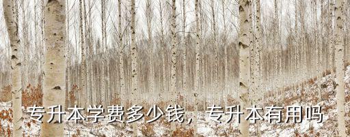 麗水教育學(xué)函授專升本多少學(xué)費(fèi),專升本有用嗎