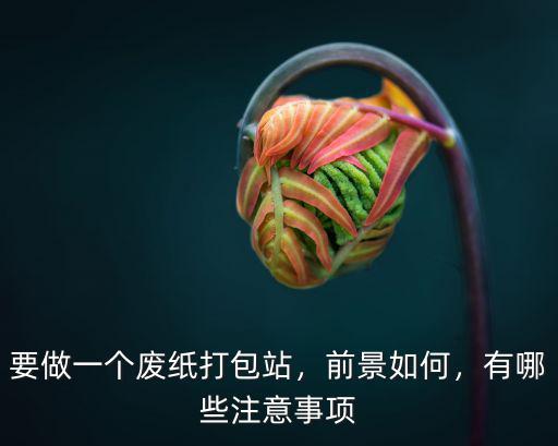 要做一個廢紙打包站，前景如何，有哪些注意事項