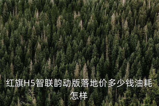 紅旗H5智聯韻動版落地價多少錢油耗怎樣
