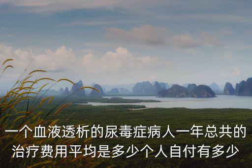 一個血液透析的尿毒癥病人一年總共的治療費用平均是多少個人自付有多少
