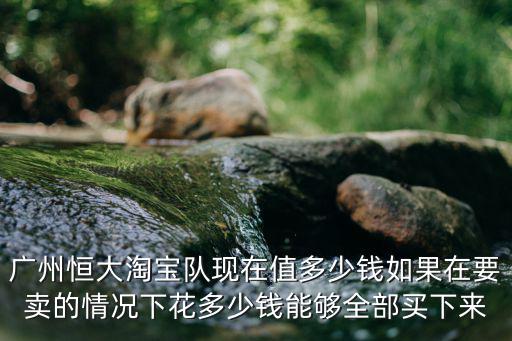 廣州恒大費(fèi)南多少錢,廣州恒大淘寶隊(duì)現(xiàn)在值多少錢