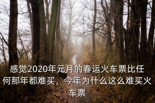 感覺2020年元月的春運(yùn)火車票比任何那年都難買，今年為什么這么難買火車票