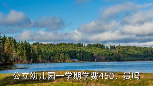 中山公立幼兒園學(xué)費(fèi)多少錢一個(gè)月,公立幼兒園一學(xué)期學(xué)費(fèi)450