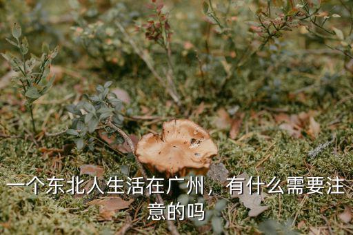在廣州身體怎么祛濕,一個東北人生活在廣州
