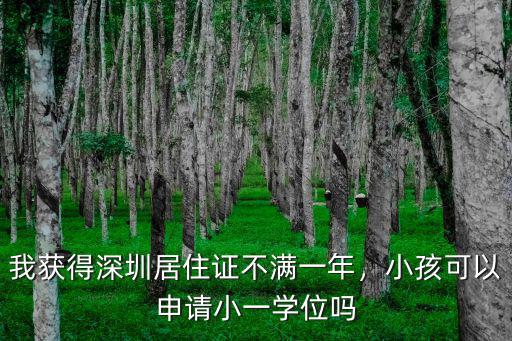 深圳申請小一學位要多少分,申請小一學位