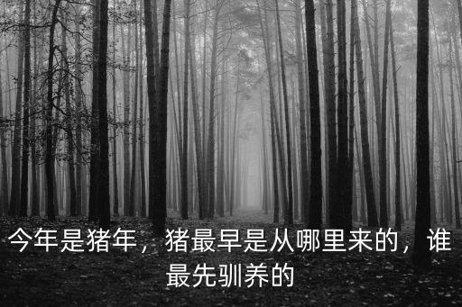 今年是豬年，豬最早是從哪里來的，誰最先馴養的