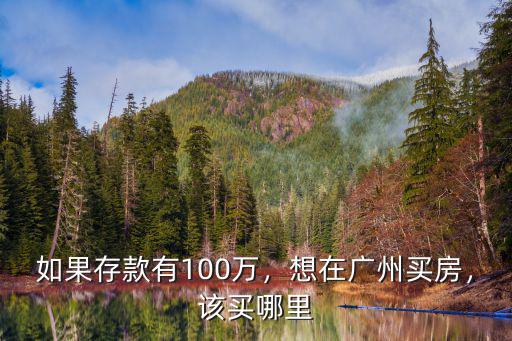 如果存款有100萬，想在廣州買房，該買哪里