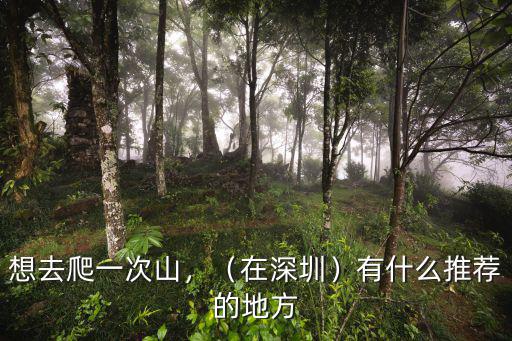 想去爬一次山，（在深圳）有什么推薦的地方