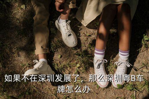 深圳車牌怎么查國(guó)幾的車,如果不在深圳發(fā)展了