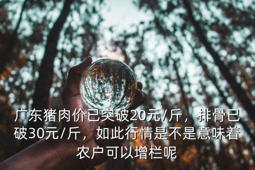 廣東豬肉價已突破20元/斤，排骨已破30元/斤，如此行情是不是意味著農(nóng)戶可以增欄呢