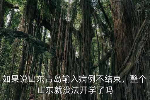 如果說山東青島輸入病例不結束，整個山東就沒法開學了嗎