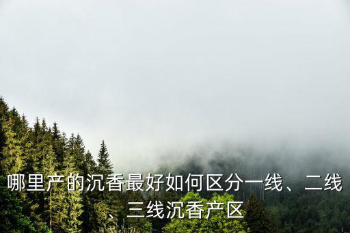 哪里產(chǎn)的沉香最好如何區(qū)分一線、二線、三線沉香產(chǎn)區(qū)