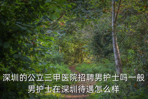 深圳的公立三甲醫(yī)院招聘男護(hù)士嗎一般男護(hù)士在深圳待遇怎么樣
