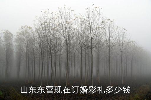 山東東營現(xiàn)在訂婚彩禮多少錢