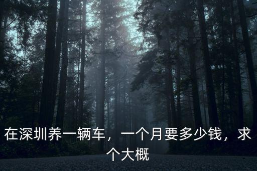 深圳上個牌要多少錢一個月,外地人剛到深圳