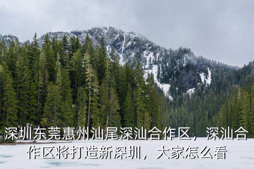 深圳東莞惠州汕尾深汕合作區(qū)，深汕合作區(qū)將打造新深圳，大家怎么看