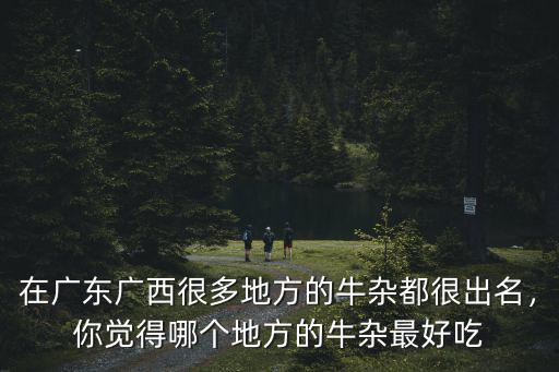 在廣東廣西很多地方的牛雜都很出名，你覺得哪個地方的牛雜最好吃