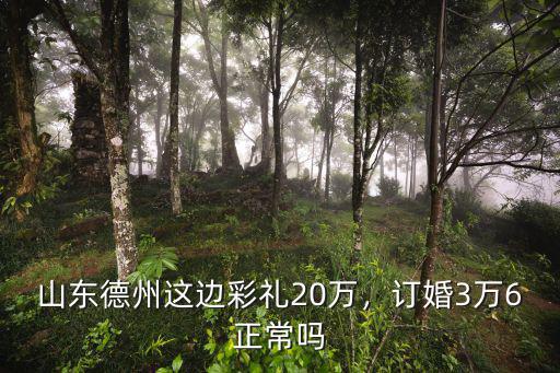 山東德州這邊彩禮20萬(wàn)，訂婚3萬(wàn)6正常嗎
