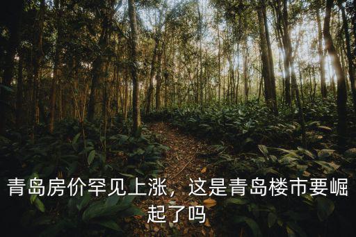 青島g20峰會后房價漲多少,青島房價罕見上漲