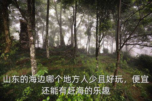 山東的海邊哪個地方人少且好玩，便宜還能有趕海的樂趣