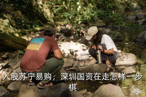 深圳國資委多少錢一股入股蘇寧,珠海國資委入股