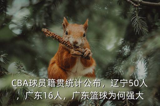 CBA球員籍貫統(tǒng)計公布，遼寧50人，廣東16人，廣東籃球為何強大