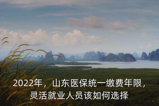 濟南靈活就業人員繳費多少年,山東醫保統一繳費年限