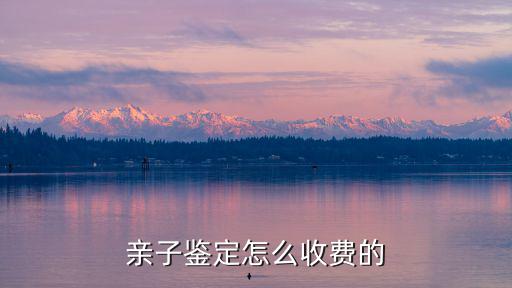 濟(jì)南無創(chuàng)親子鑒定費用是多少,親子鑒定怎么收費的